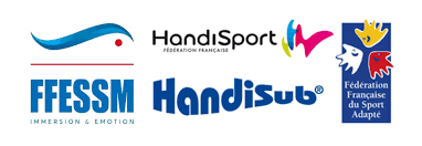 handisublogo